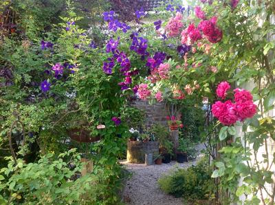 Garten in Wilnsdorf