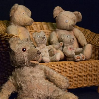 Bild vergr��ern: Teddyb�ren