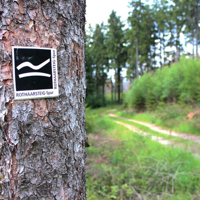 Bild vergr��ern: Das liegende �R� auf schwarzem Grund steht als Zeichen f�r eine Rothaarsteig-Spur und ist auch auf dem 13,4 km langen Gernsdorfer Wanderweg oft zu sehen.