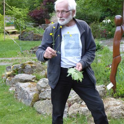 Bild vergr��ern: Manfred Stangier freut sich, den Besuchern die einheimischen Geh�lze n�her zu bringen.