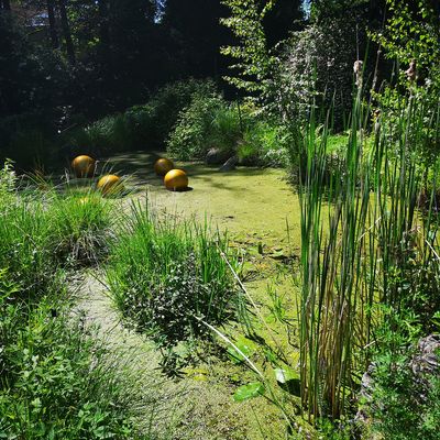 Bild vergr��ern: Natur-und Skulpturenpark NaKuMe