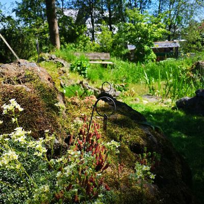 Bild vergr��ern: Natur-und Skulpturenpark NaKuMe