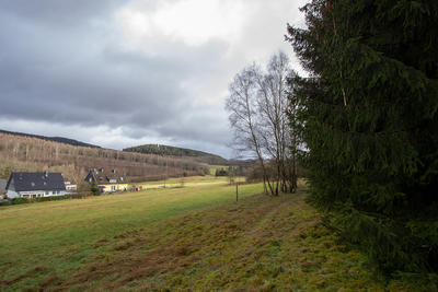 Bild vergr��ern: Die Fichten am rechten Bildrand werden bald niedrig wachsenden Str�uchern weichen: Mit dieser Naturausgleichsma�nahme geht die Gemeinde Wilnsdorf einen Schritt weiter auf dem Weg, das geplante Flammersbacher Baugebiet "Auf dem Damm" Wirklichkeit werden zu lassen.