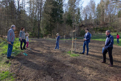 Obstwiese Grimberg