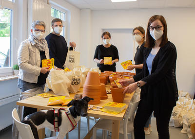 Wilnsdorfer Bienenbuffet