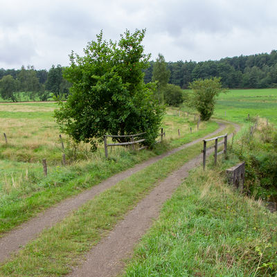 Bild vergr��ern: An zwei Stellen im Naturschutzgebiet Wei�tal kreuzt ein Wirtschaftsweg die Wei�. Hier wurden einst gro�e Rohre als Br�cken eingebaut, damit Traktoren und andere Fahrzeuge gut �ber den Bach kommen. Bequem f�r Mensch und Maschine, aber ein riesiges Hindernis f�r Wasserlebewesen. Denn die k�nnen die Wei� wegen der glatten Rohrw�nde und der hohen Wassergeschwindigkeit in den Rohren nicht mehr hinaufwandern.