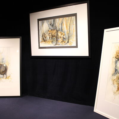 Bild vergr��ern: Sonderausstellung "Tierische Vielfalt in Aquarell"