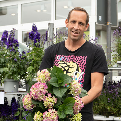Bild vergr��ern: Blumen Dillenberger GmbH (Garten-, Topf- und Schnittblumen)