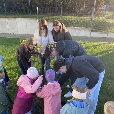 Bild vergr��ern: Baum setzen mit gro�en und kleinen Helfern