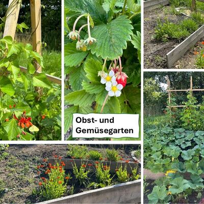 Bild vergr��ern: Einblick in den Schulgarten: Obst- und Gem�segarten