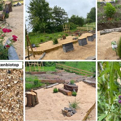 Bild vergr��ern: Einblick in den Schulgarten: Trockenbiotop