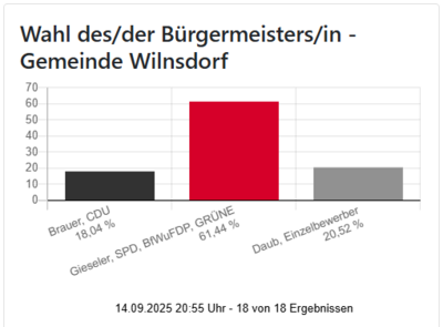 Bild vergr��ern: Ergebnis der Wahl des B&uuml;rgermeisters/ der B&uuml;rgermeisterin 2025
