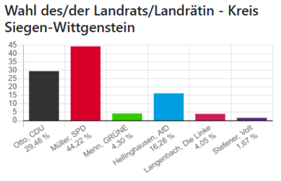 Bild vergr��ern: Ergebnis der Wahl des Landrats/ der Landr&auml;tin 2025