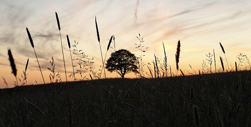 Sonnenuntergangsstimmung bei Wilgersdorf