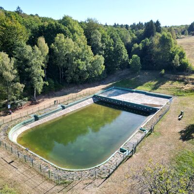 Bild vergr��ern: Die Wassertiefe des Wilgersdorfer Weihers ist auf ein so geringes Niveau gesunken, dass erhebliche Verletzungsgefahren f�r Badeg�ste bestehen.