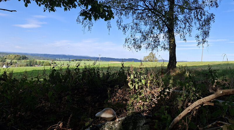 Wilgersdorf im Herbst