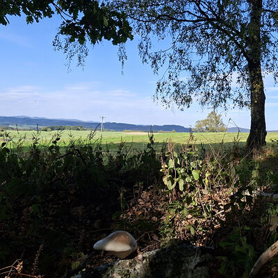 Bild vergr��ern: Wilgersdorf im Herbst
