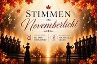 StimmenImNovemberlicht